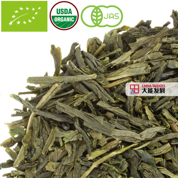 Sencha